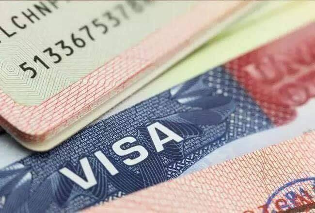 فيزا دبي بس بمبلغ 99 دولار